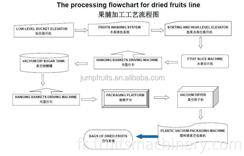 dried fruit production line processing machine